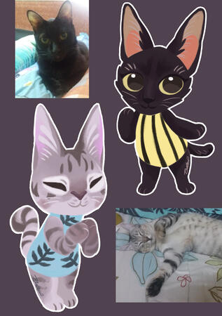 Zhicer cattos Zhicer cattos