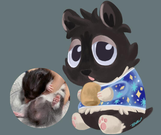 Suzu Nibbles Suzu Nibbles
